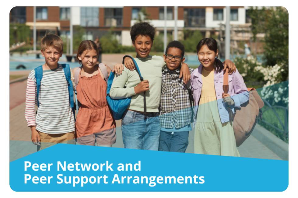 Peer Network and Peer Support Arrangements